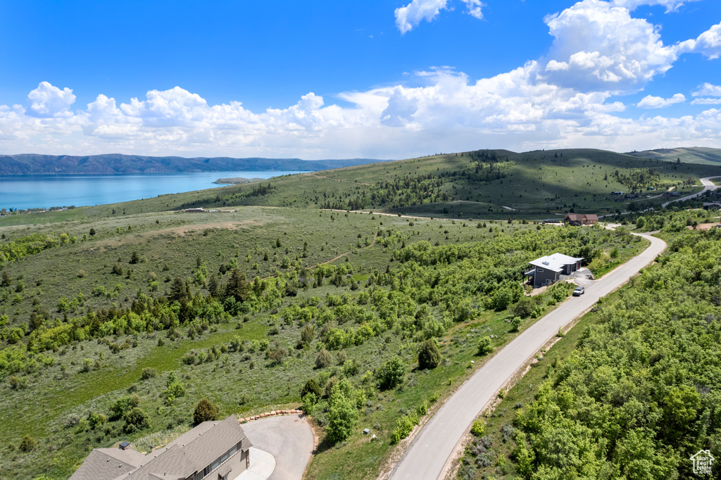 Drone / aerial view of a water and mountain view