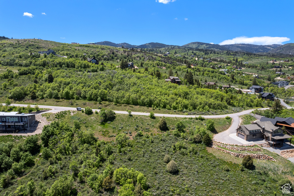 Aerial view of a mountain backdrop and a heavily wooded area
