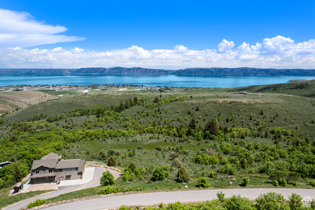 Drone / aerial view of a water and mountain view