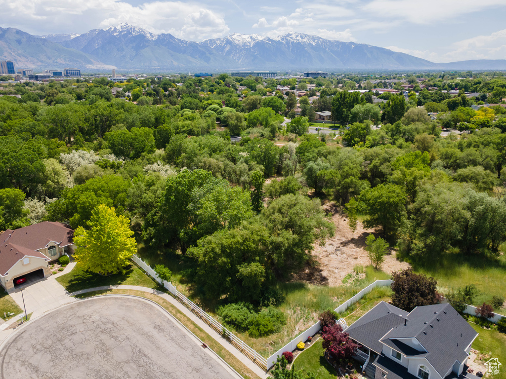 Drone / aerial view of mountains