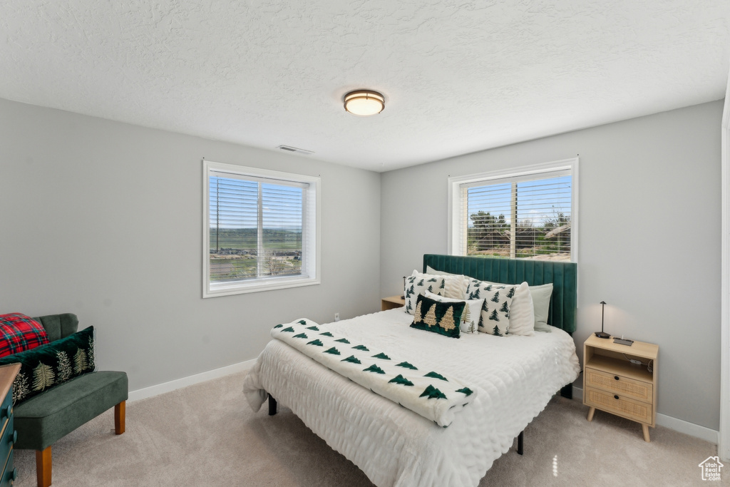 Bedroom with multiple windows, light colored carpet, and baseboards
