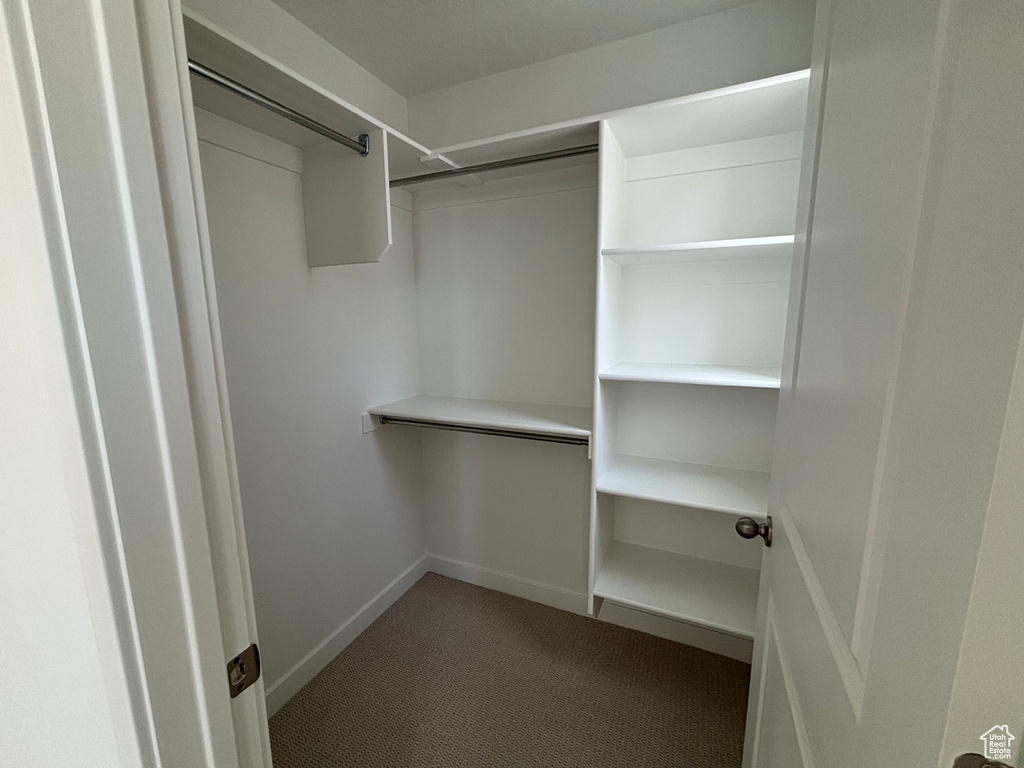 Spacious closet featuring light colored carpet