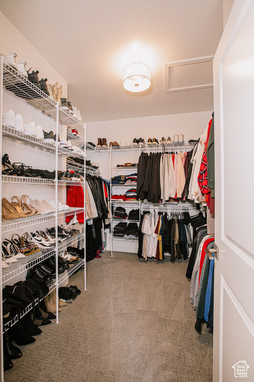 Spacious closet with carpet floors