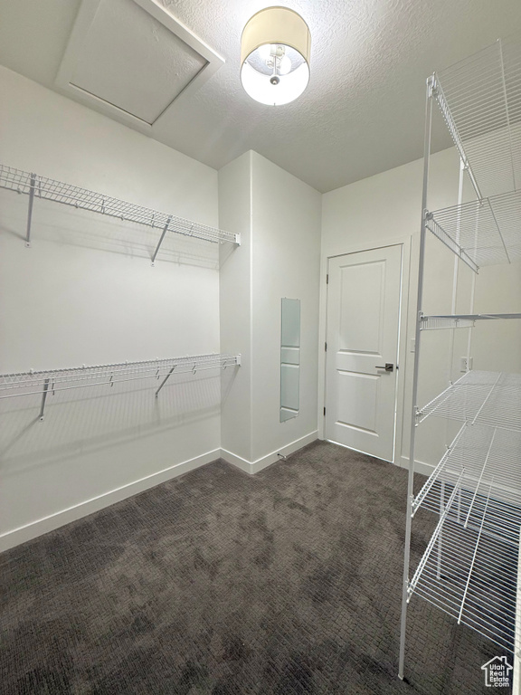 5028 W LAKE TERRACE AVE South Jordan, UT 84009