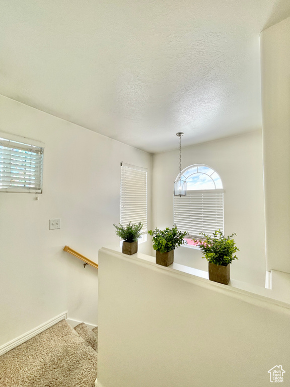 Stairway featuring healthy amount of natural light, baseboards, a textured ceiling, and carpet flooring
