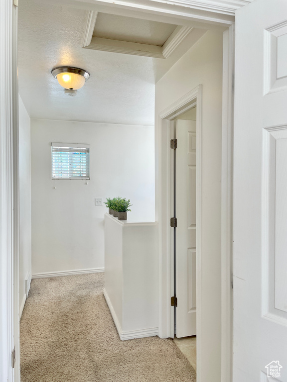 Corridor featuring carpet floors and baseboards