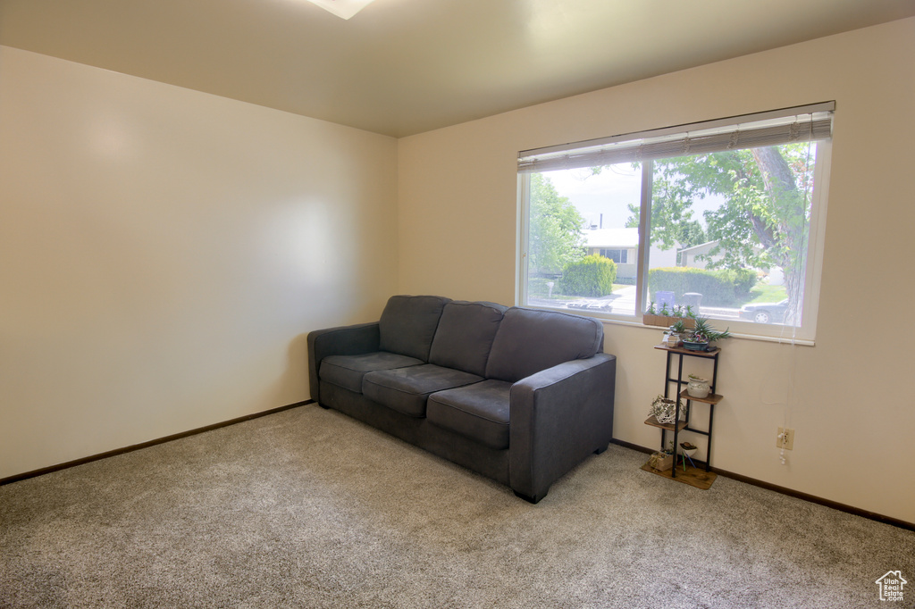 Living room featuring carpet floors and baseboards