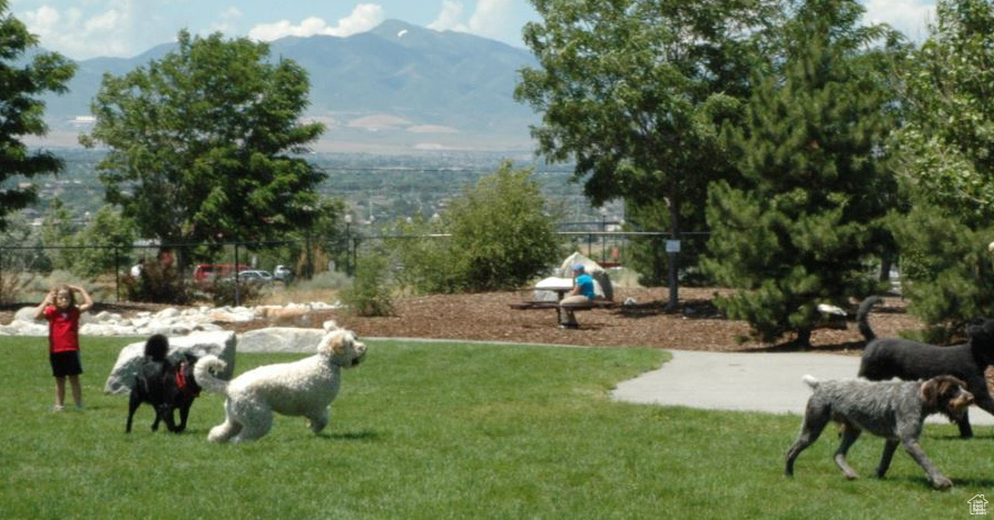 Surrounding community featuring a mountain view