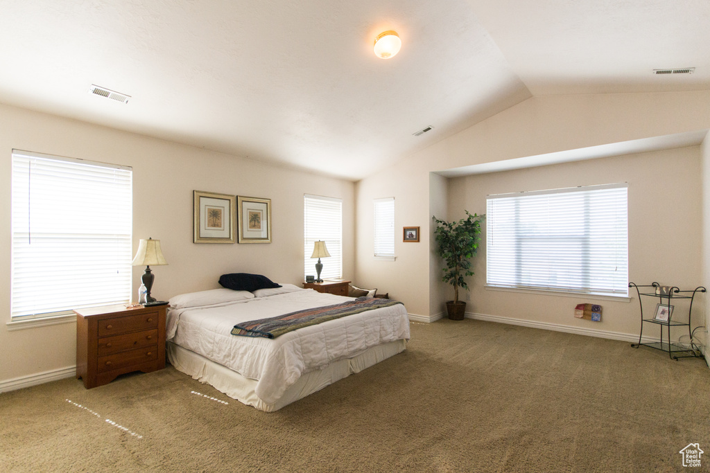 Bedroom with lofted ceiling, carpet floors, and baseboards