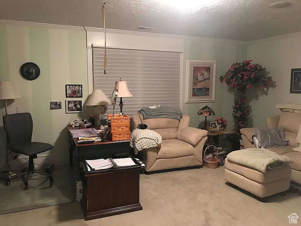 Living room with ornamental molding, carpet floors, and a textured ceiling