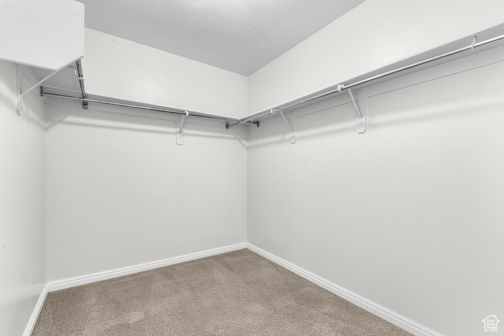 13718 S MT. CORTINA WAY Riverton, UT 84065