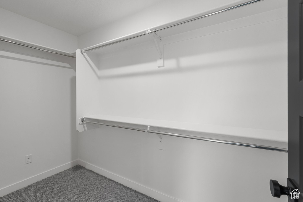 Walk in closet featuring carpet floors