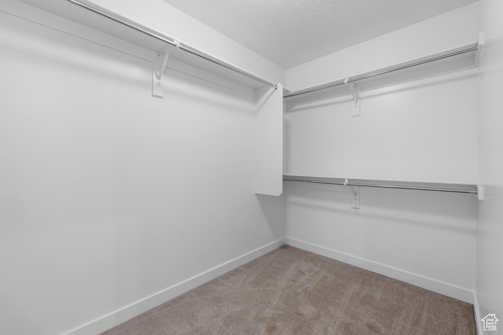 Walk in closet with carpet