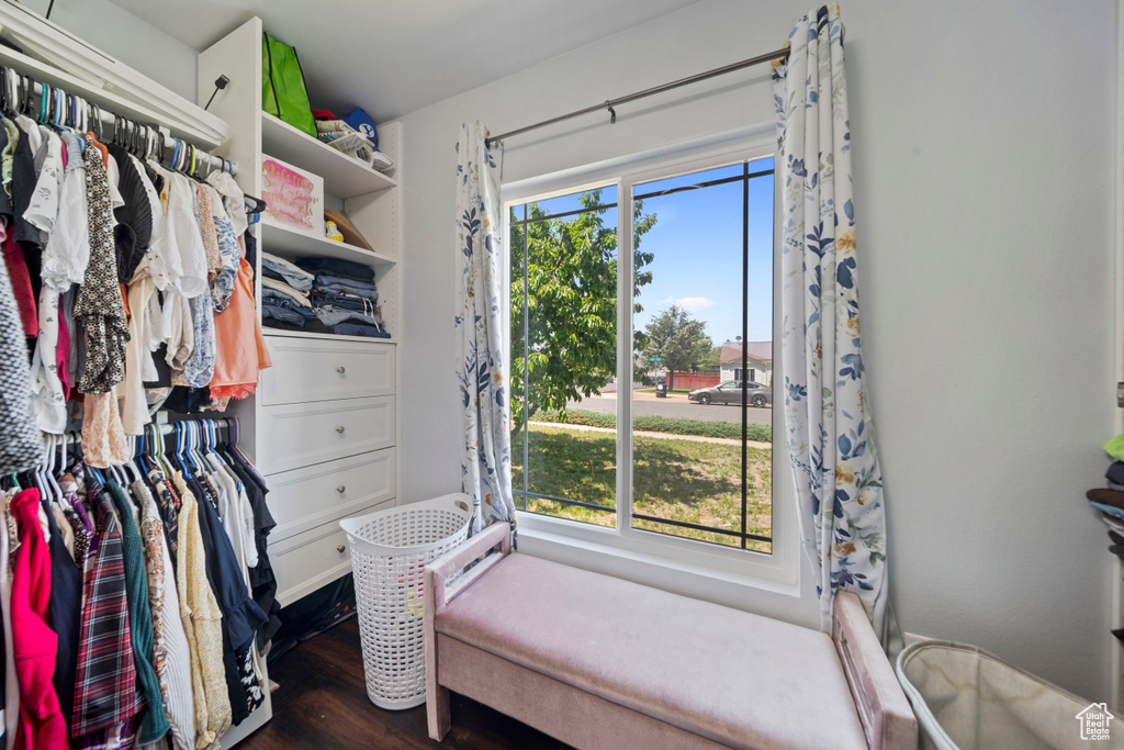 Spacious closet featuring dark wood-type flooring