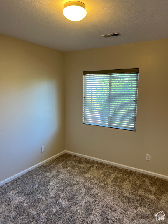 Carpeted spare room with baseboards