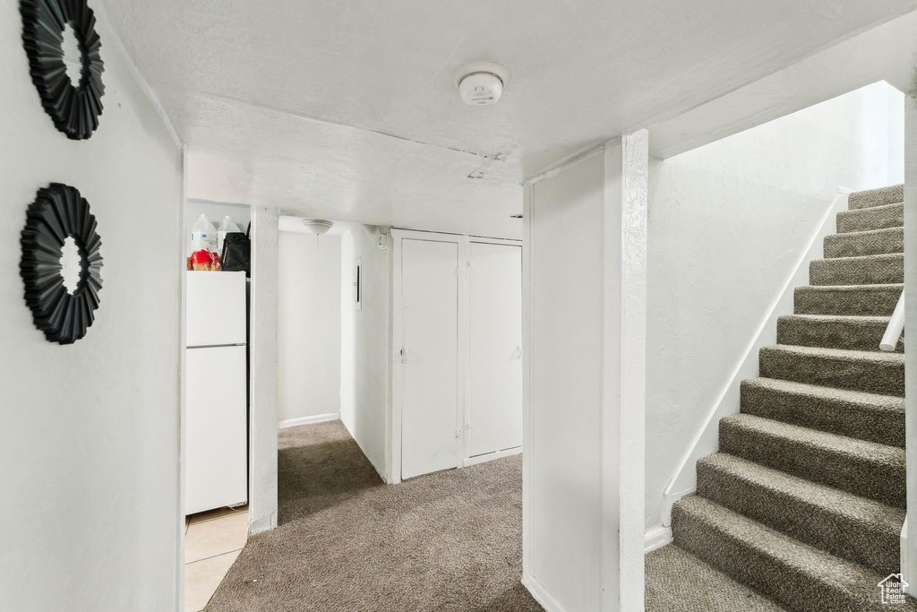 Staircase with carpet floors