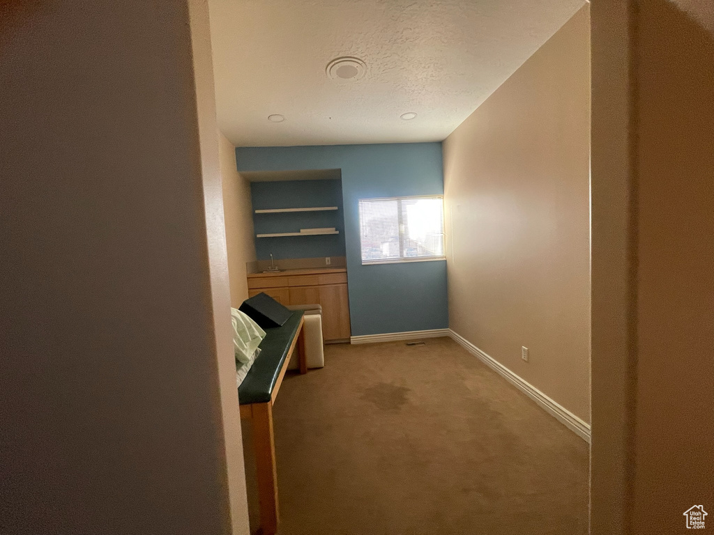 Spacious closet featuring light carpet and a sink