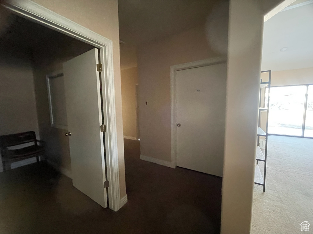 Hall featuring carpet floors