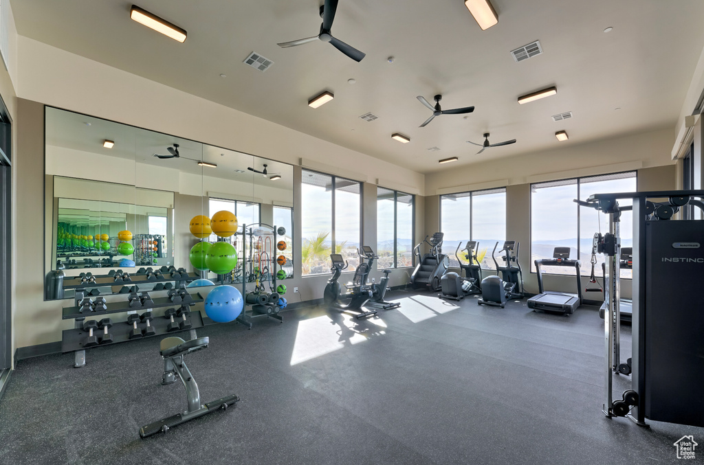 Workout area with ceiling fan and plenty of natural light
