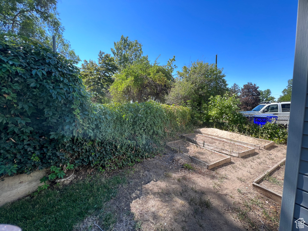View of yard featuring a garden