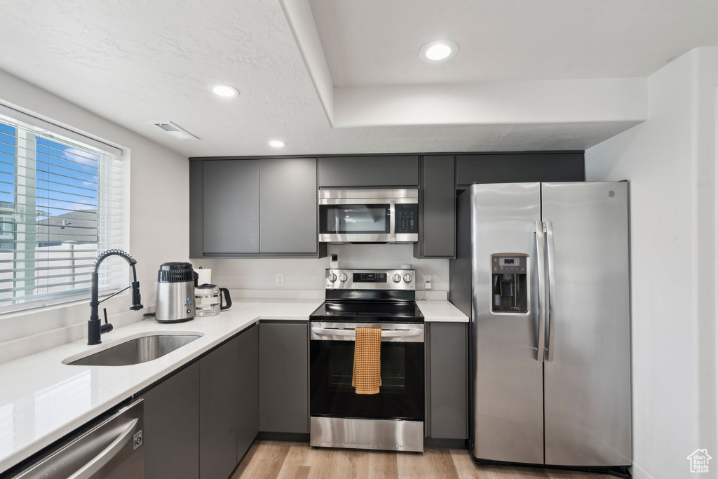 Kitchen featuring appliances with stainless steel finishes, a sink, light countertops, light wood-type flooring, and gray cabinetry