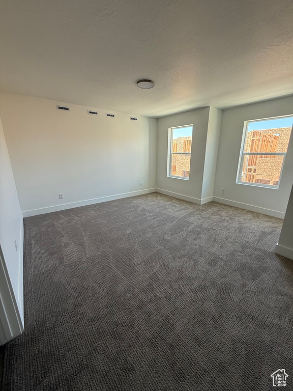 Carpeted spare room featuring healthy amount of natural light and baseboards