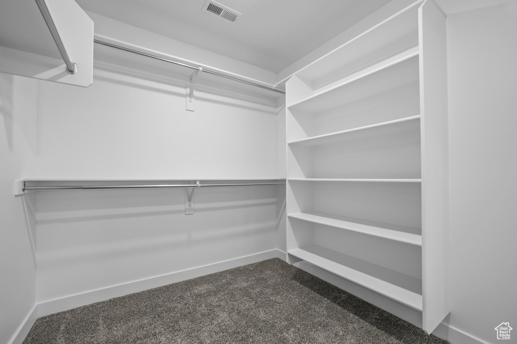 Walk in closet featuring dark carpet