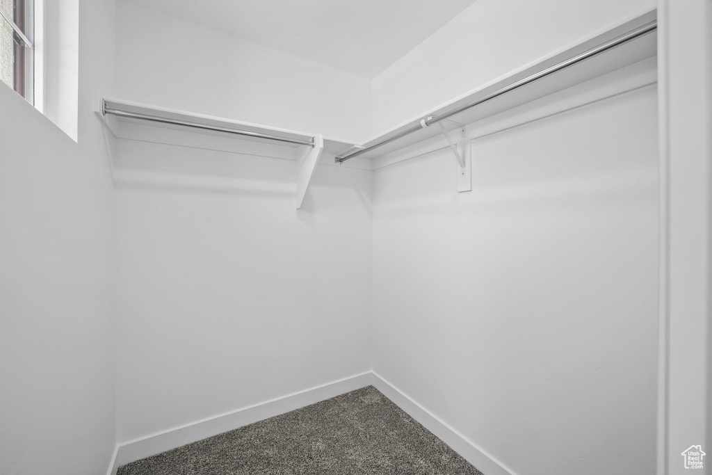 Walk in closet with dark colored carpet