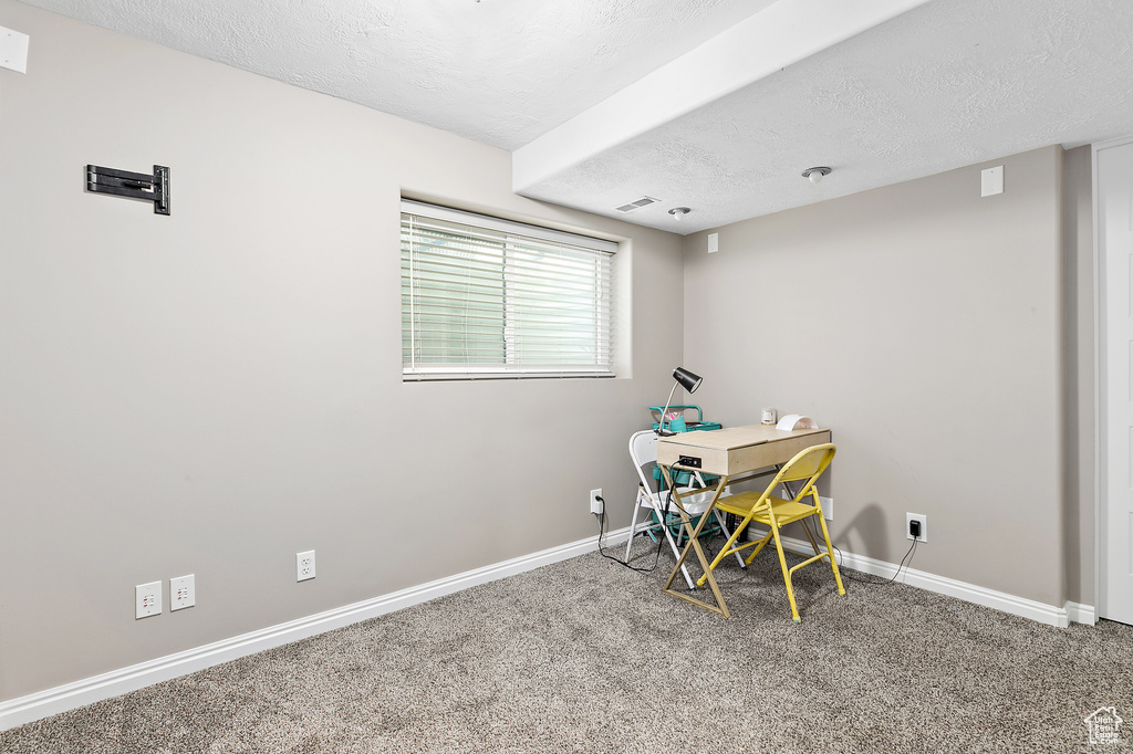 Office featuring carpet floors, baseboards, and a textured ceiling