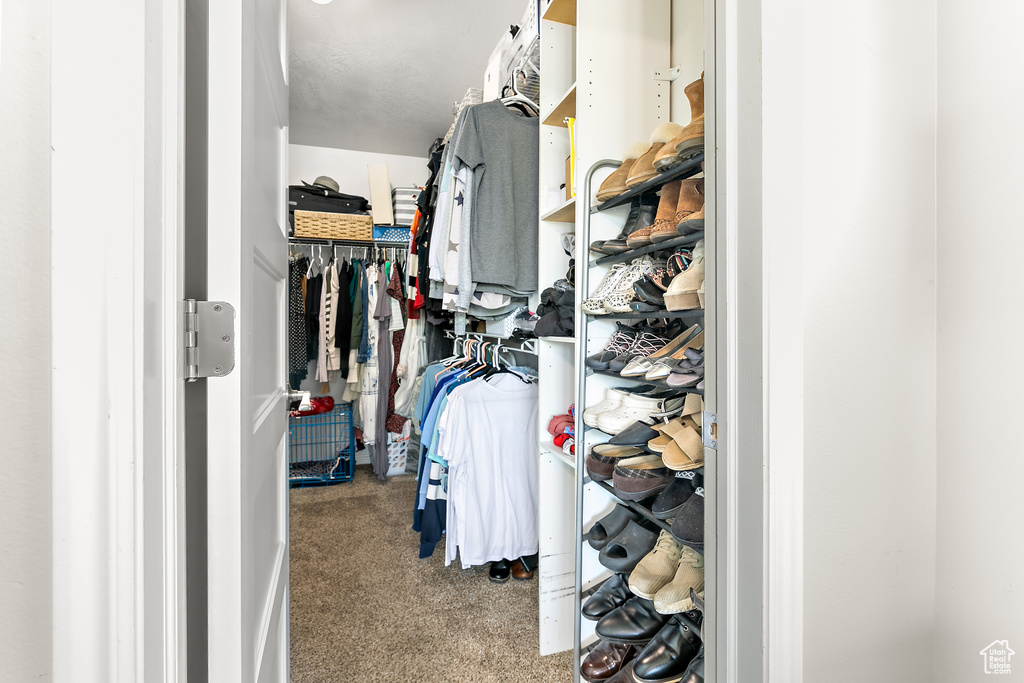 Spacious closet with carpet flooring