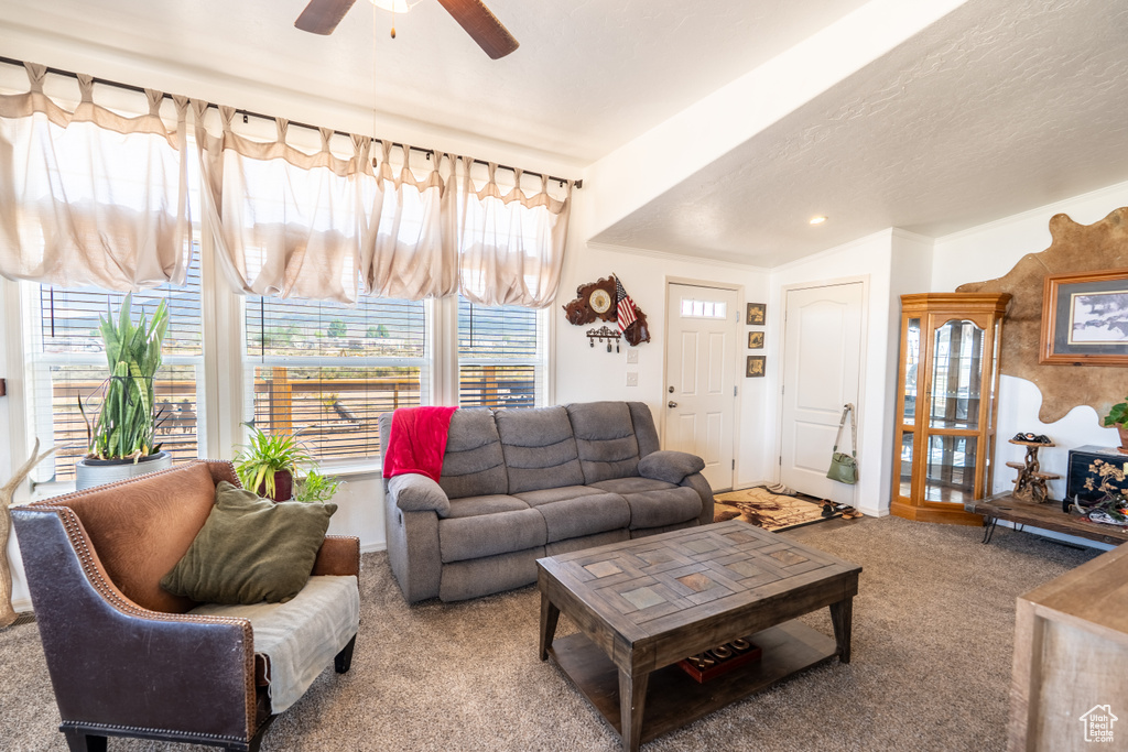 Carpeted living room with a ceiling fan and baseboards