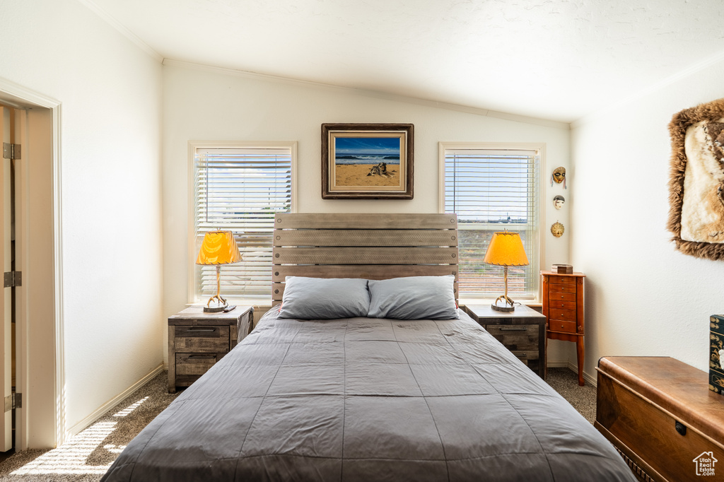 Bedroom with carpet, lofted ceiling, multiple windows, baseboards, and ornamental molding