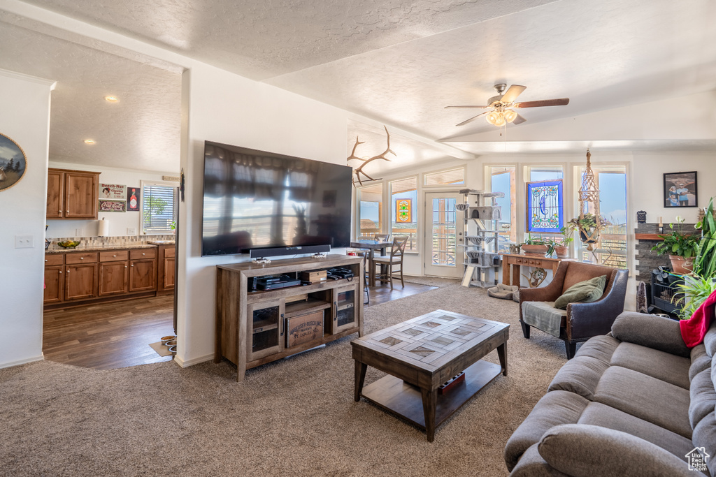 Living area with dark carpet, lofted ceiling, ceiling fan, and a textured ceiling