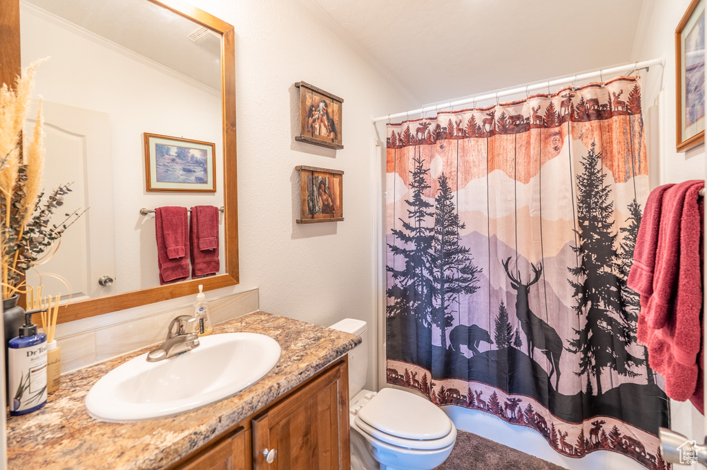 Bathroom featuring toilet, vanity, a shower with shower curtain, vaulted ceiling, and crown molding