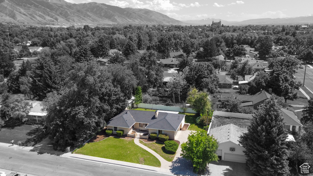 Drone / aerial view of mountains and a forest