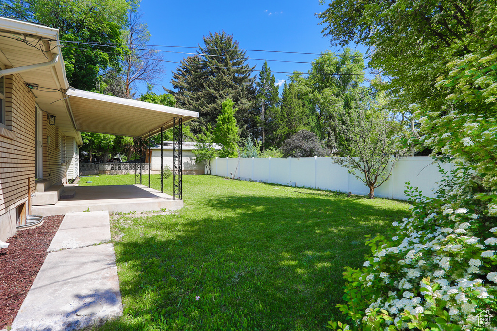 View of yard featuring a patio
