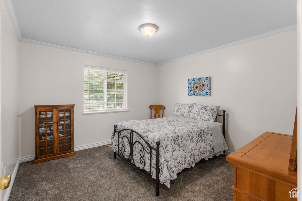 Bedroom with crown molding, dark colored carpet, and baseboards