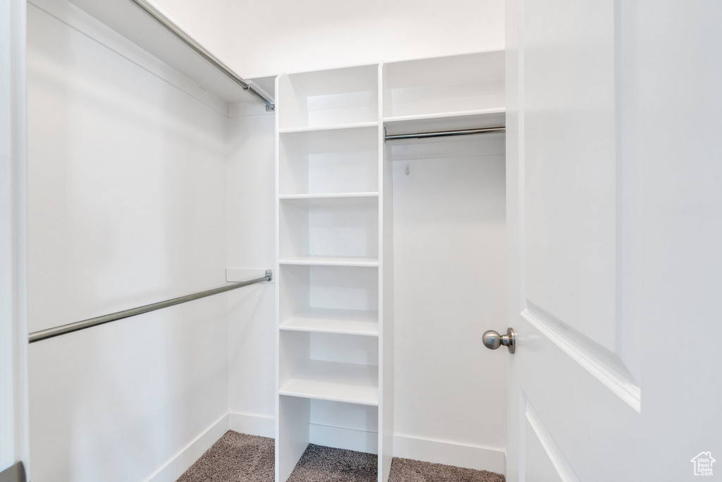 Spacious closet featuring carpet