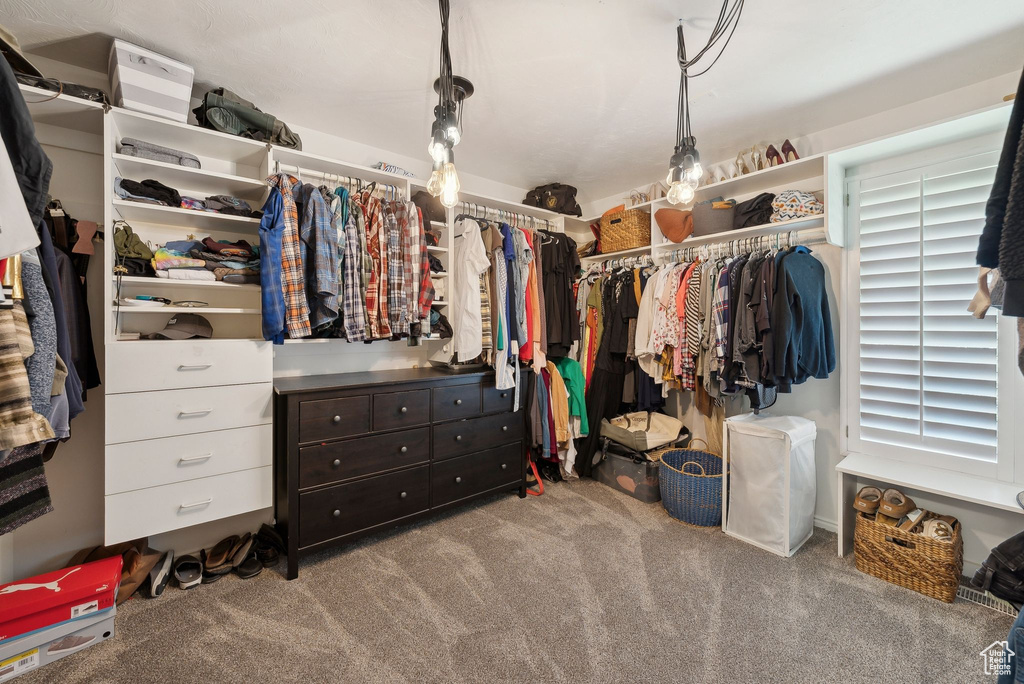 Spacious closet with carpet flooring