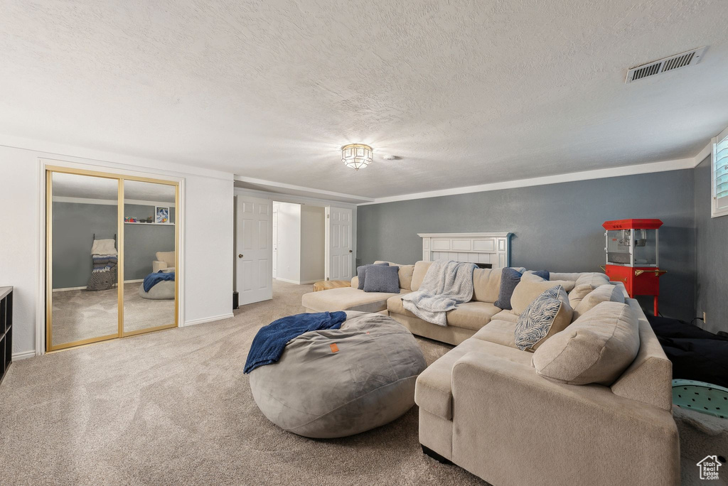 Carpeted living area with a textured ceiling and baseboards