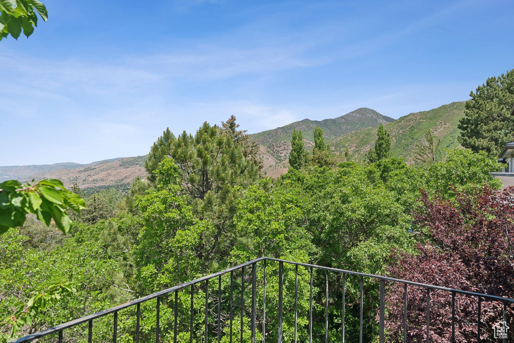 Mountain view
