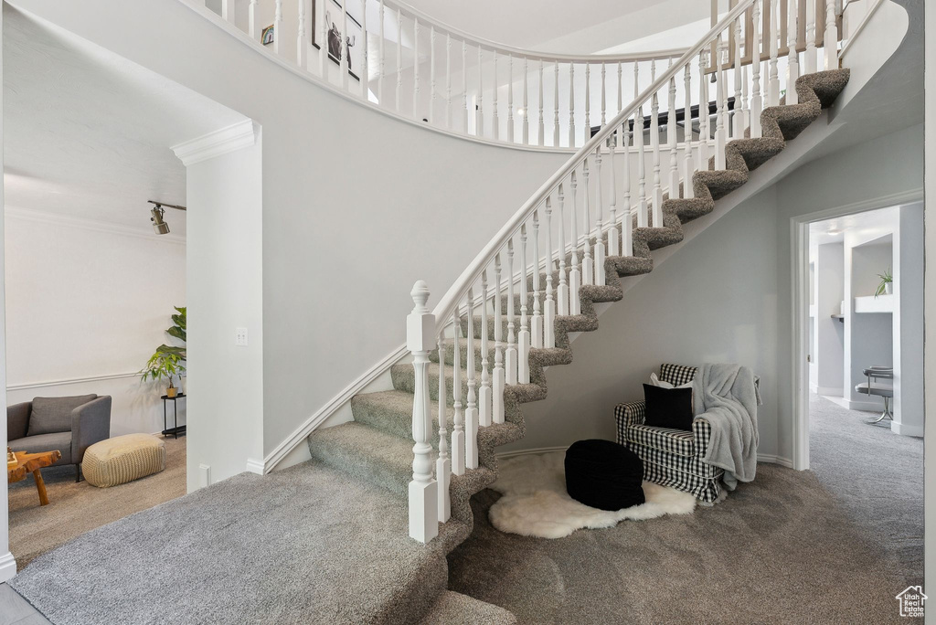 Stairway with carpet floors, ornamental molding, and baseboards