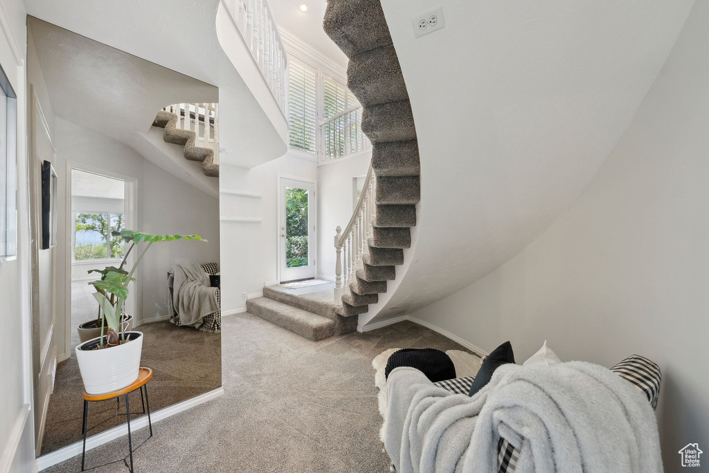 Stairs with carpet floors, a high ceiling, and baseboards