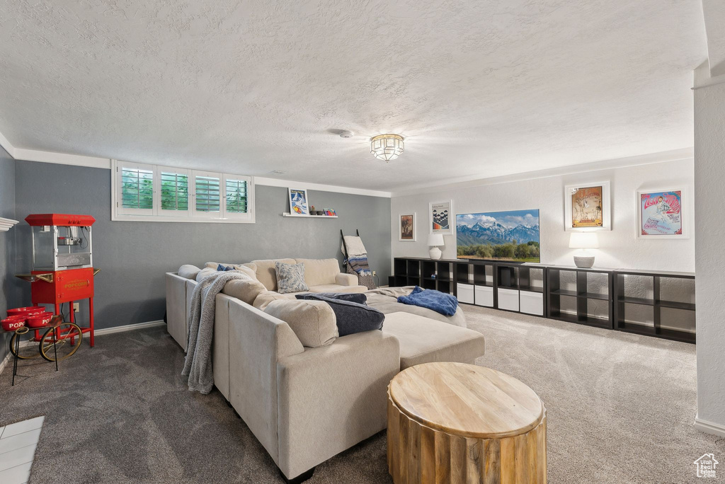 Carpeted living room with a textured ceiling and baseboards