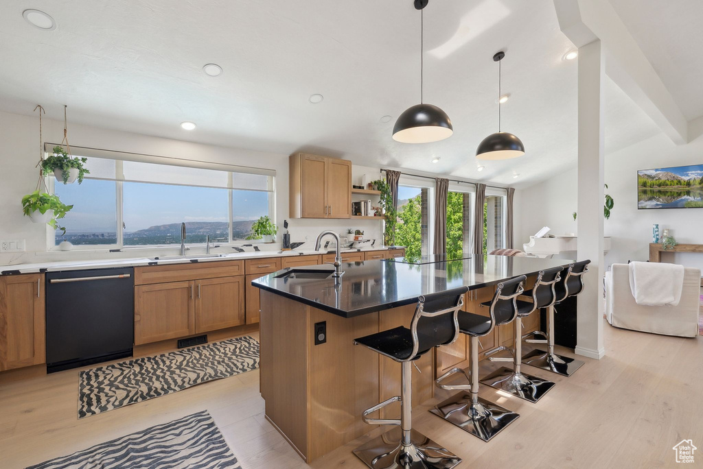 Kitchen with dishwasher, a sink, plenty of natural light, vaulted ceiling, and recessed lighting