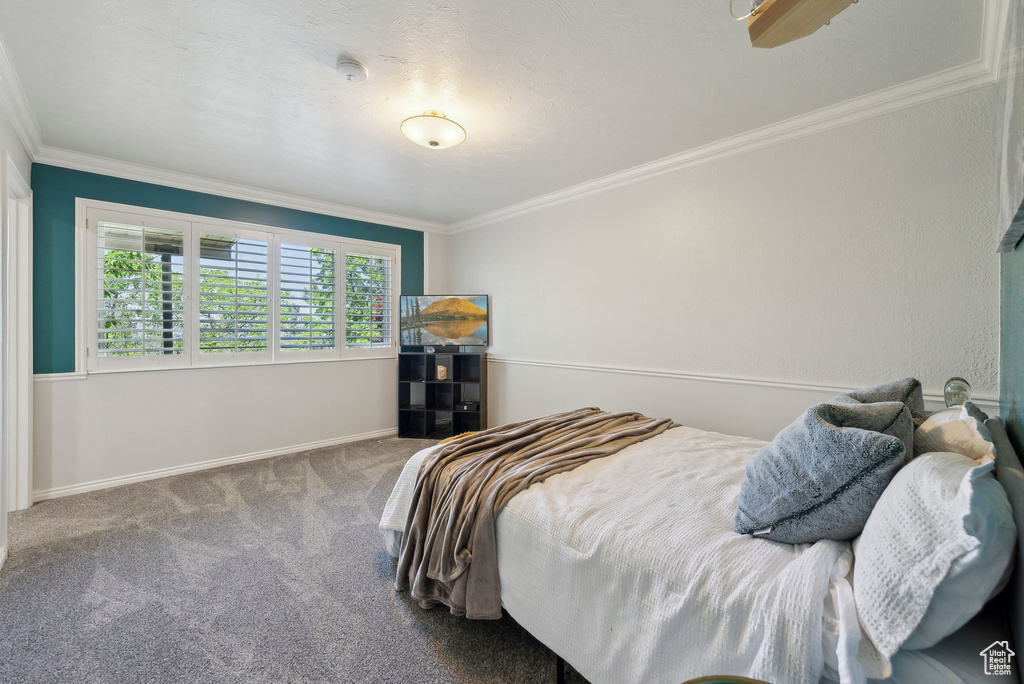 Carpeted bedroom featuring crown molding and baseboards