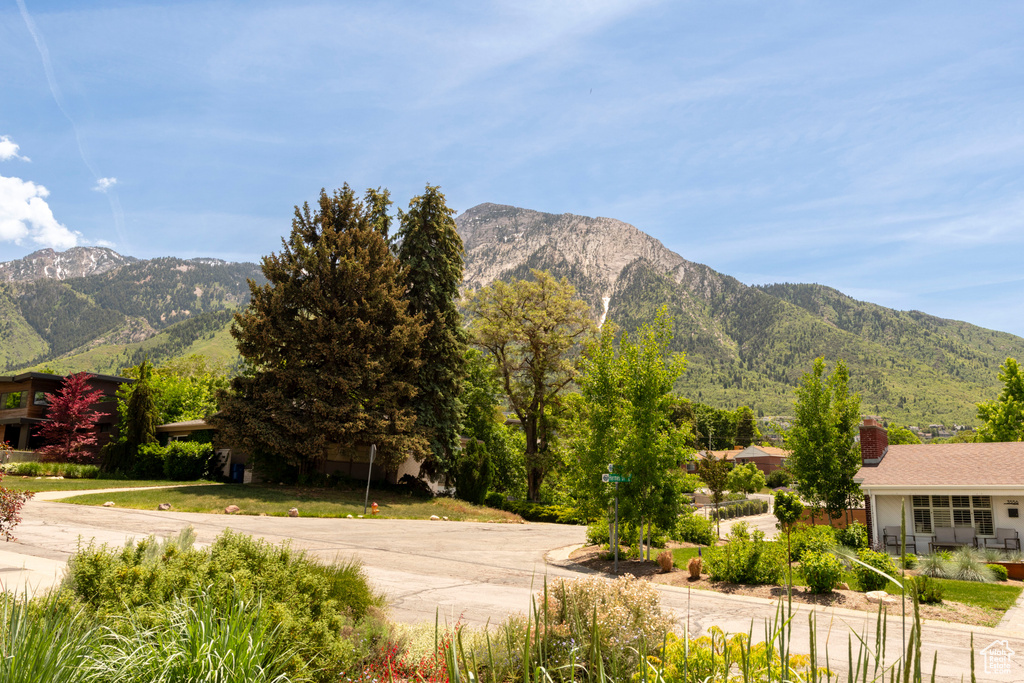 Mountain view