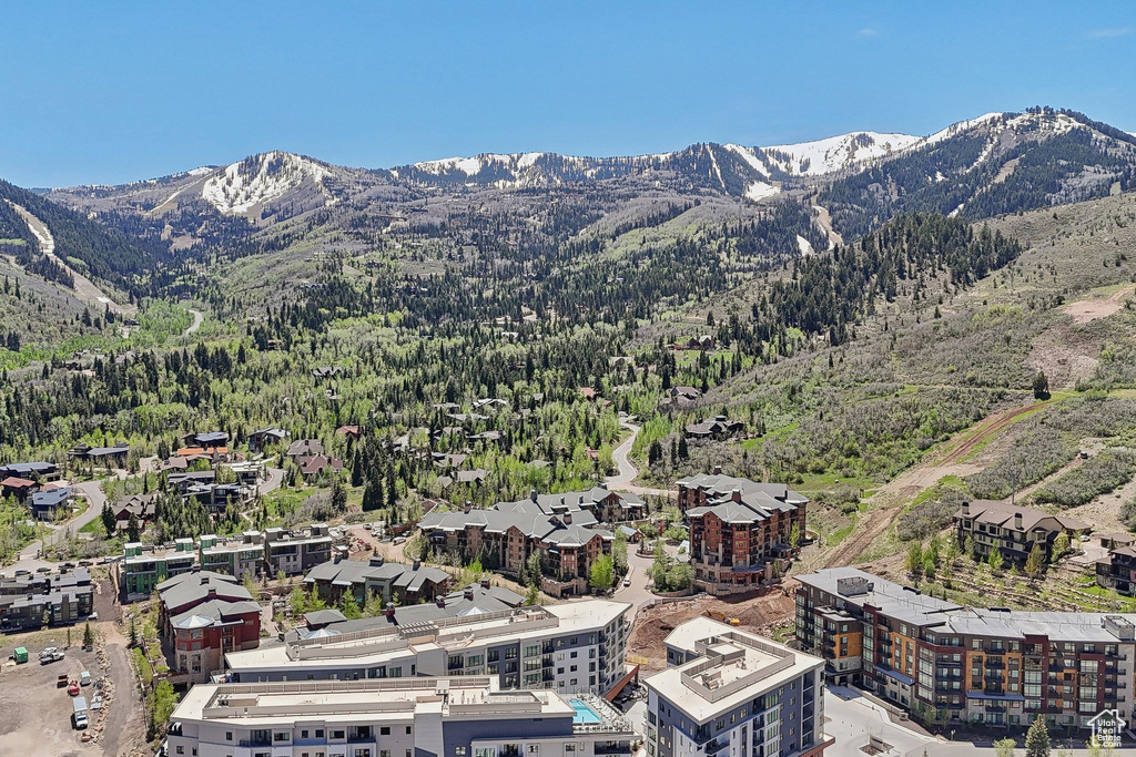 View of mountain background with a heavily wooded area