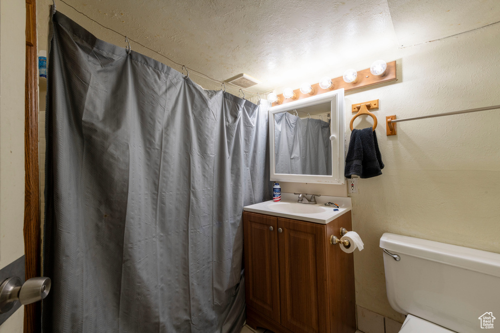 Full bathroom featuring vanity, toilet, and a shower with shower curtain