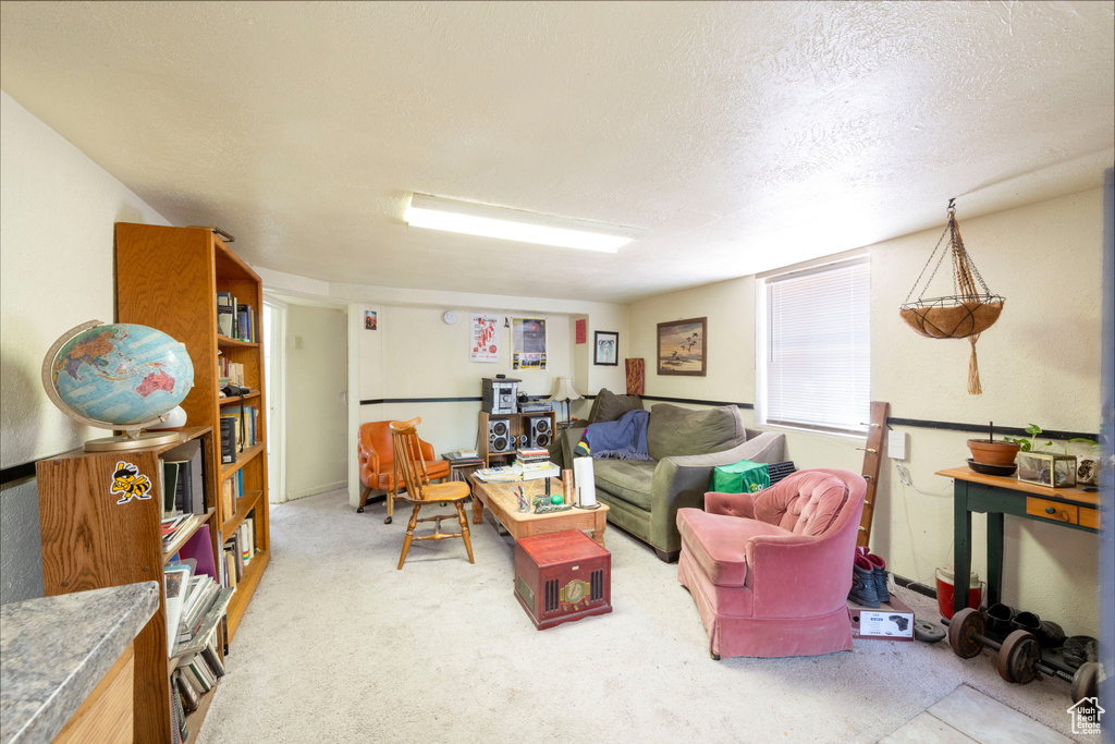 Living room with carpet and a textured ceiling
